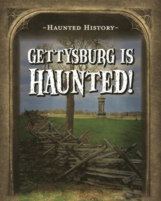 Marie Morrison - Gettysburg Is Haunted!, E-bok