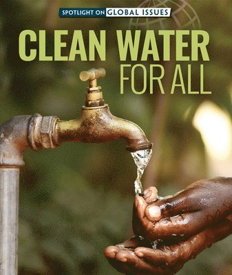 Danielle Haynes - Clean Water for All, Inbunden