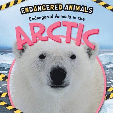 Emilie DuFresne - Endangered Animals in the Arctic, Inbunden