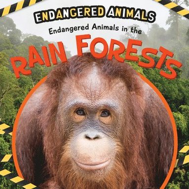 Emilie DuFresne - Endangered Animals in the Rain Forest, Häftad