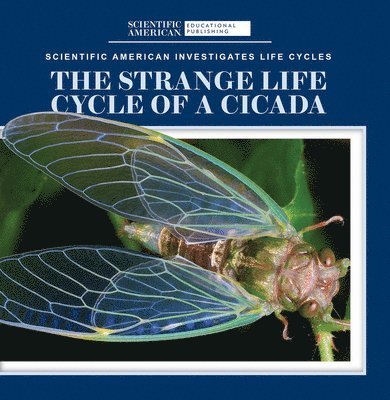 Anna McDougal - The Strange Life Cycle of a Cicada, Häftad. Tillgänglighet: Lägg i varukorg