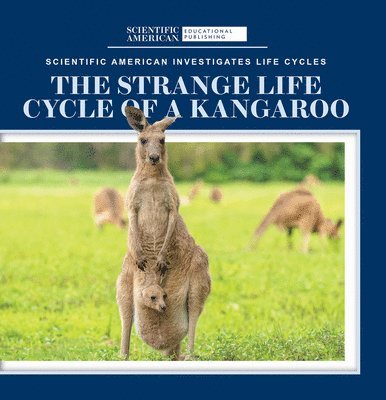 Anna McDougal - The Strange Life Cycle of a Kangaroo, Häftad. Tillgänglighet: Lägg i varukorg