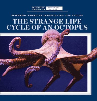 Anna McDougal - The Strange Life Cycle of an Octopus, Häftad. Tillgänglighet: Lägg i varukorg