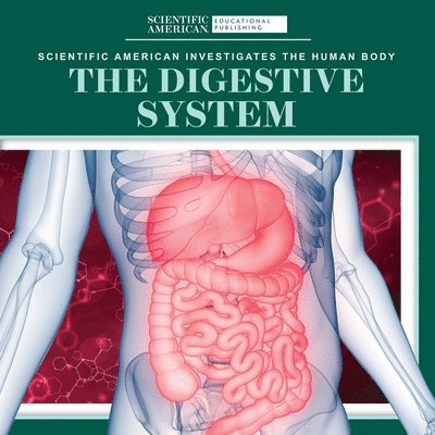 Leigh McClure - The Digestive System, Häftad. Tillgänglighet: Lägg i varukorg