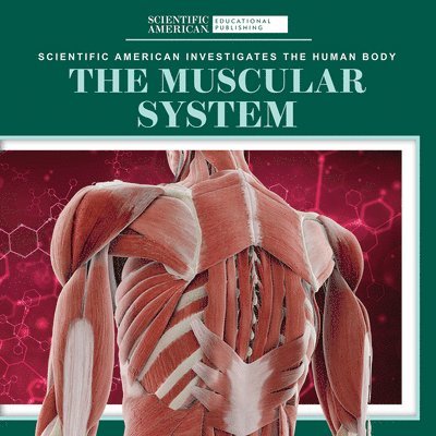 Leigh McClure - The Muscular System, Häftad. Tillgänglighet: Lägg i varukorg