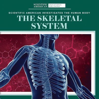 Leigh McClure - The Skeletal System, Häftad. Tillgänglighet: Lägg i varukorg