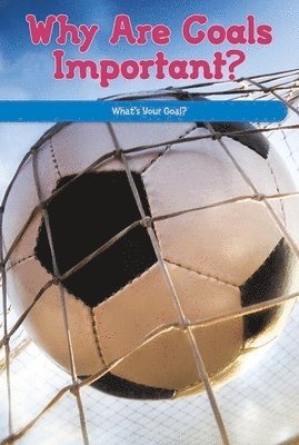 Manuel Martinez - Why Are Goals Important?, E-bok