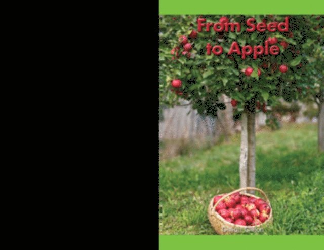 Gillian Clifton - From Seed to Apple, E-bok
