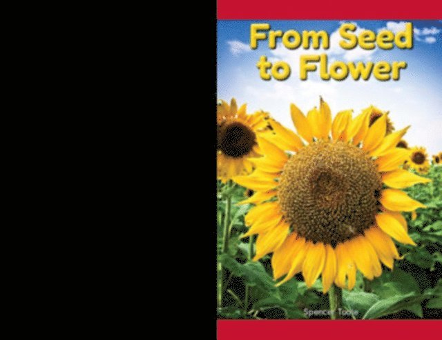Spencer Toole - From Seed to Flower, E-bok