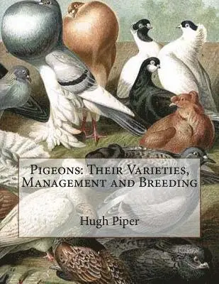Hugh Piper - Pigeons: Their Varieties, Management and Breeding, Häftad. Tillgänglighet: Lägg i varukorg