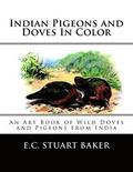 Indian Pigeons and Doves In Color: An Art Book of Wild Doves and Pigeons from India