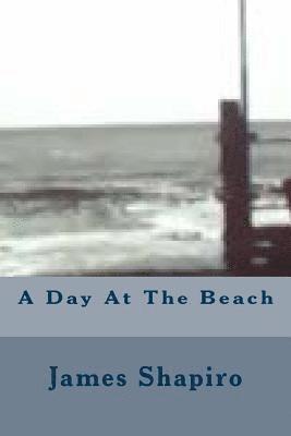 James Shapiro - A Day At The Beach, Häftad