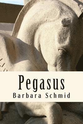 Barbara Schmid - Pegasus, Häftad. Tillgänglighet: Lägg i varukorg