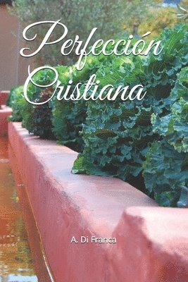 I. M. S., A. Di Franca - Perfeccion Cristiana, Häftad. Tillgänglighet: Lägg i varukorg