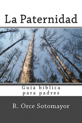 I. M. S., R. Orce Sotomayor - Paternidad, Häftad. Tillgänglighet: Lägg i varukorg