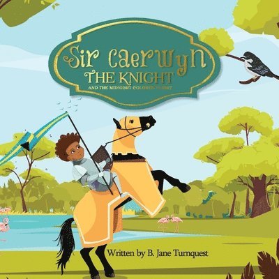 B Jane Turnquest - Sir Caerwyn the Knight and The Midnight Colored Plight, Häftad. Tillgänglighet: Lägg i varukorg