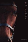 Note Book: Horse Lovers - Narrow Ruled, 100 Pages (50 Sheets), 6 X 9
