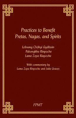 Lama Zopa Rinpoche, Fpmy - Practices to Benefit Pretas, Nagas and Spirits, Häftad. Tillgänglighet: Lägg i varukorg