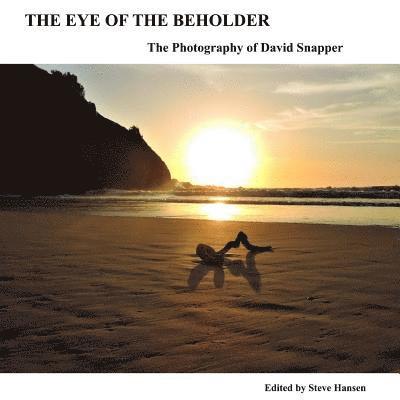 Steve Hansen - The Eye Of The Beholder: The Photography of David Snapper, Häftad