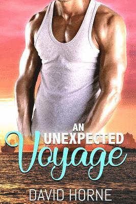 David Horne - An Unexpected Voyage, Häftad