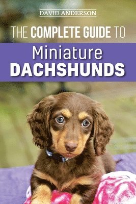 David Anderson - Complete Guide to Miniature Dachshunds, Häftad