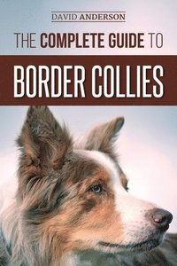 The Complete Guide to Border Collies