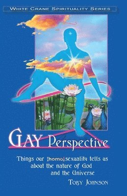 Toby Johnson - Gay Perspective, Häftad