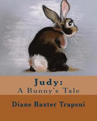Sr. Stone, Kenneth - Judy: A Bunny's Tale, Häftad. Tillgänglighet: Lägg i varukorg