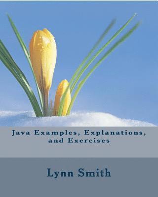 Lynn Smith - Java Examples, Explanations, and Exercises, Häftad