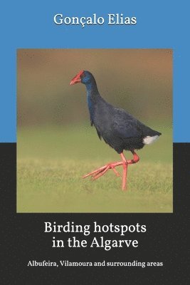 Gonçalo Elias - Birding hotspots in the Algarve: Albufeira, Vilamoura and surrounding areas, Häftad. Tillgänglighet: Lägg i varukorg
