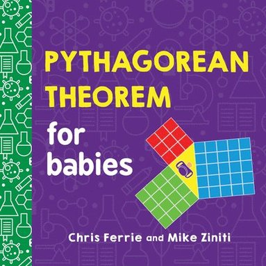 Pythagorean Theorem for Babies av Chris Ferrie, Mike Ziniti