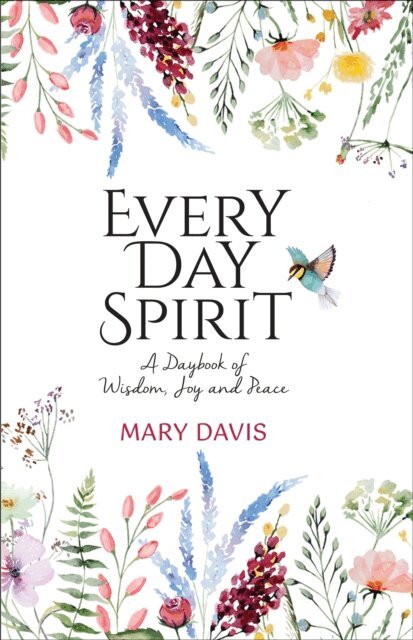 Mary Davis - Every Day Spirit, E-bok