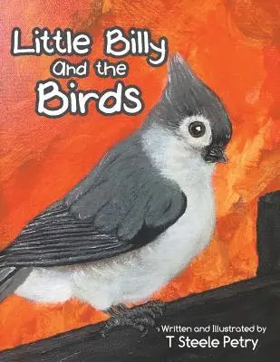 T Steele Petry - Little Billy and the Birds, Häftad. Tillgänglighet: Lägg i varukorg