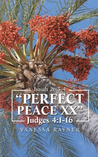 Vanessa Rayner - &quote;Perfect Peace Xx&quote;, E-bok. Tillgänglighet: Lägg i varukorg