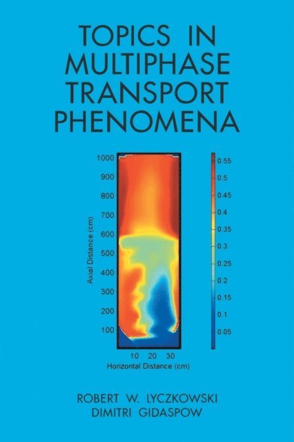 Dimitri Gidaspow, Robert W. Lyczkowski - Topics in Multiphase Transport Phenomena, E-bok