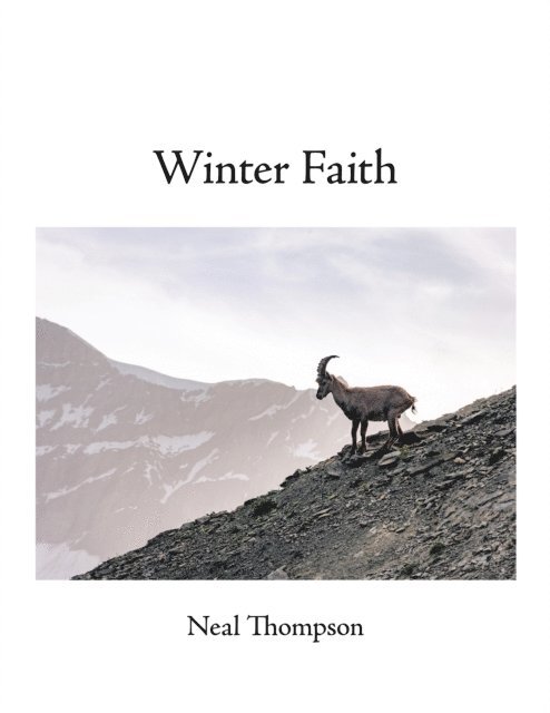 Neal Thompson - Winter Faith, E-bok