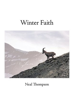 Neal Thompson - Winter Faith, Häftad
