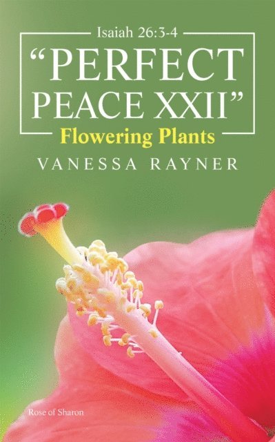 Vanessa Rayner - Isaiah 26:3-4 &quote;Perfect Peace Xxii&quote;, E-bok. Tillgänglighet: Lägg i varukorg