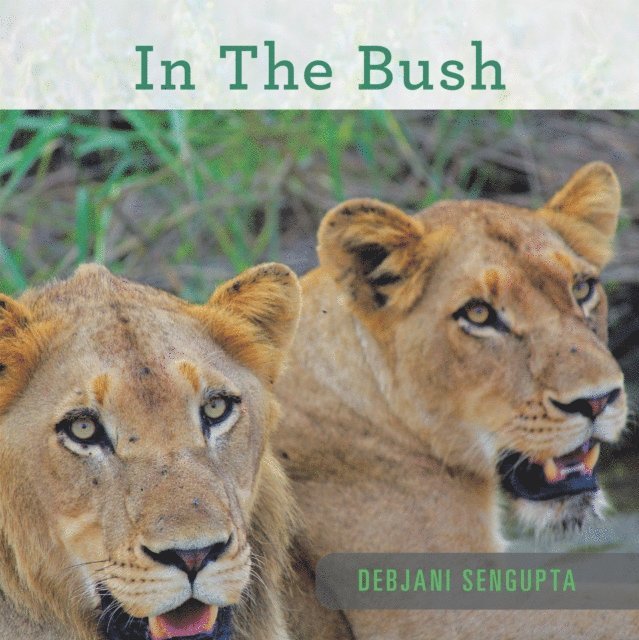 Debjani Sengupta - In the Bush, E-bok. Tillgänglighet: Lägg i varukorg