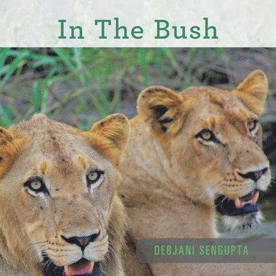 Debjani SenGupta - In the Bush, Häftad. Tillgänglighet: Lägg i varukorg