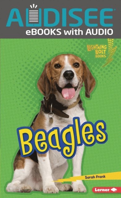 Sarah Frank - Beagles, E-bok