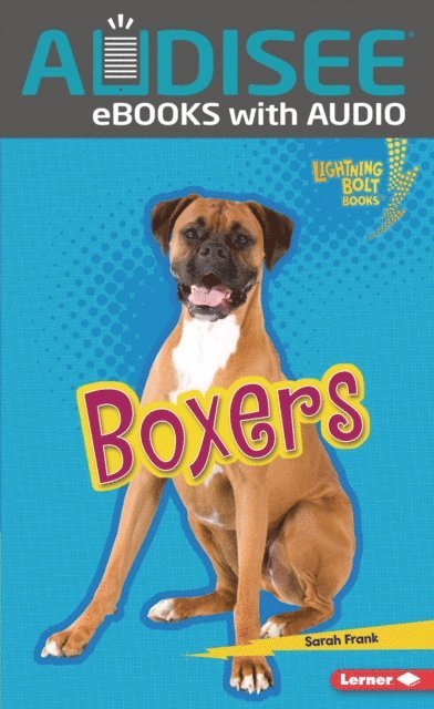 Sarah Frank - Boxers, E-bok
