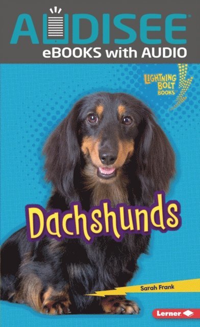 Sarah Frank - Dachshunds, E-bok