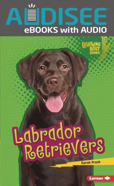 Sarah Frank - Labrador Retrievers, E-bok