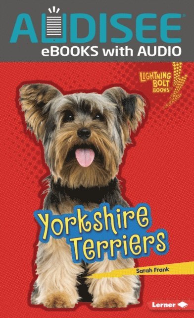 Sarah Frank - Yorkshire Terriers, E-bok