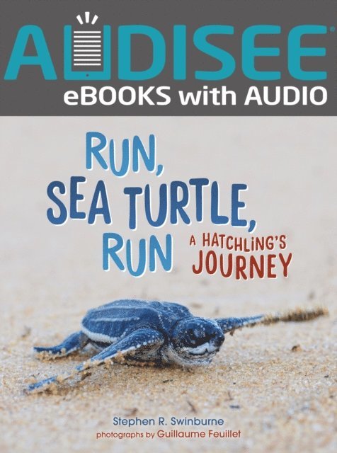 Stephen R. Swinburne - Run, Sea Turtle, Run, E-bok