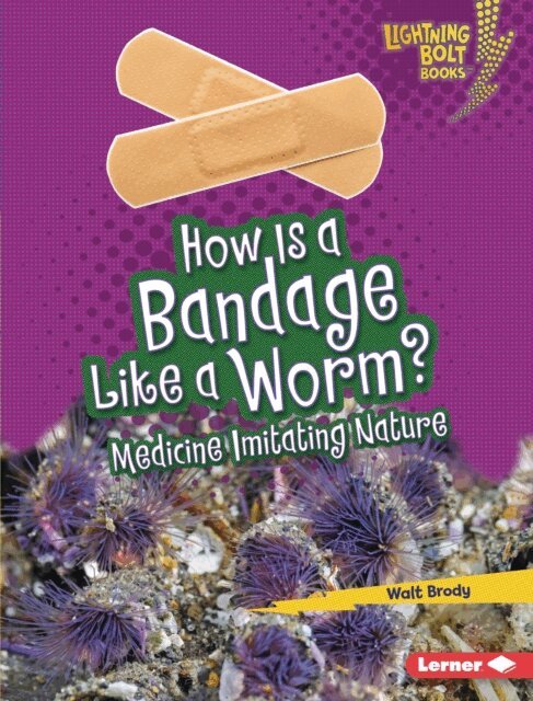 Walt Brody - How Is a Bandage Like a Worm?, E-bok