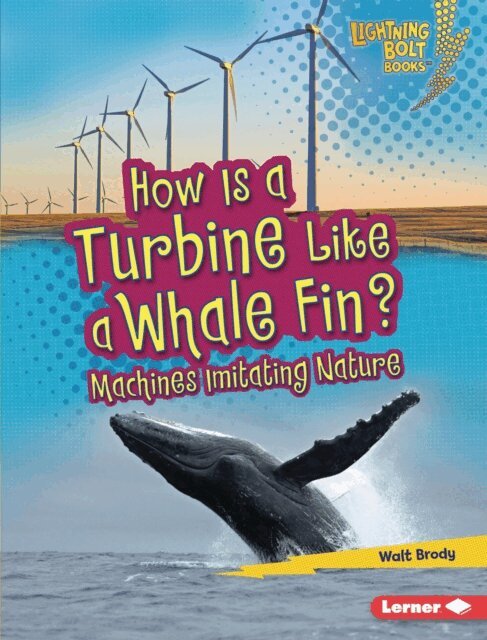 Walt Brody - How Is a Turbine Like a Whale Fin?, E-bok