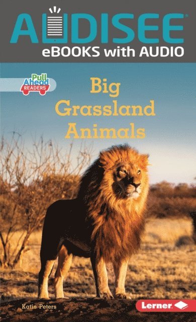 Katie Peters - Big Grassland Animals, E-bok