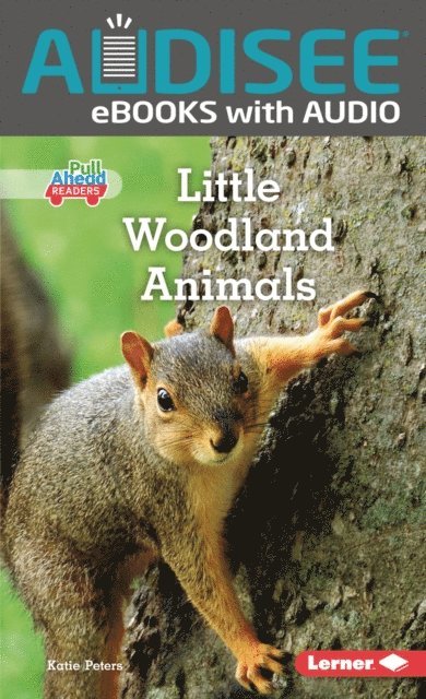 Katie Peters - Little Woodland Animals, E-bok